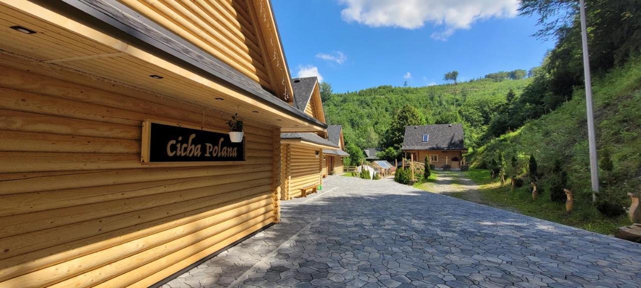 Вилла Cicha Polana Щирк Экстерьер фото